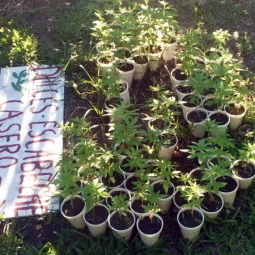 &iexcl;El consumo crece y los narcos r&iacute;en!