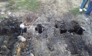 "Romp&eacute; Pepe, Romp&eacute;..."