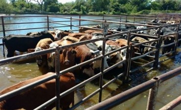 Declararon zona de desastre y emergencia h&iacute;drica en Corrientes