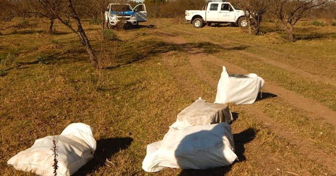 En Entre R&iacute;os llovieron 400 kilos de "faso" y 20 de "coca"